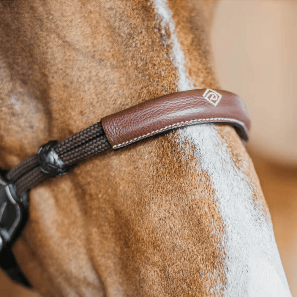 Dy'on Bitless Bridle