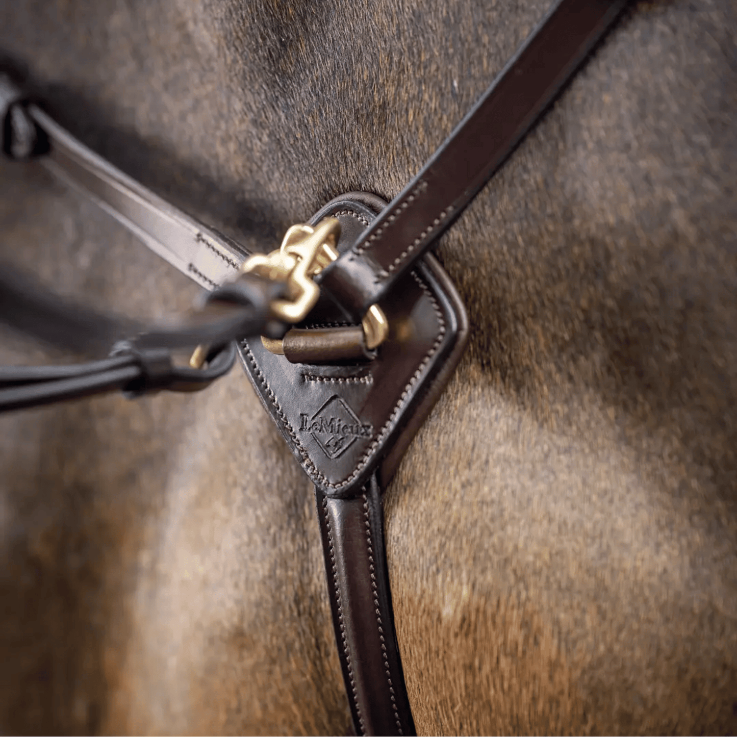 LeMieux Breastplate (D-Ring Attachment)