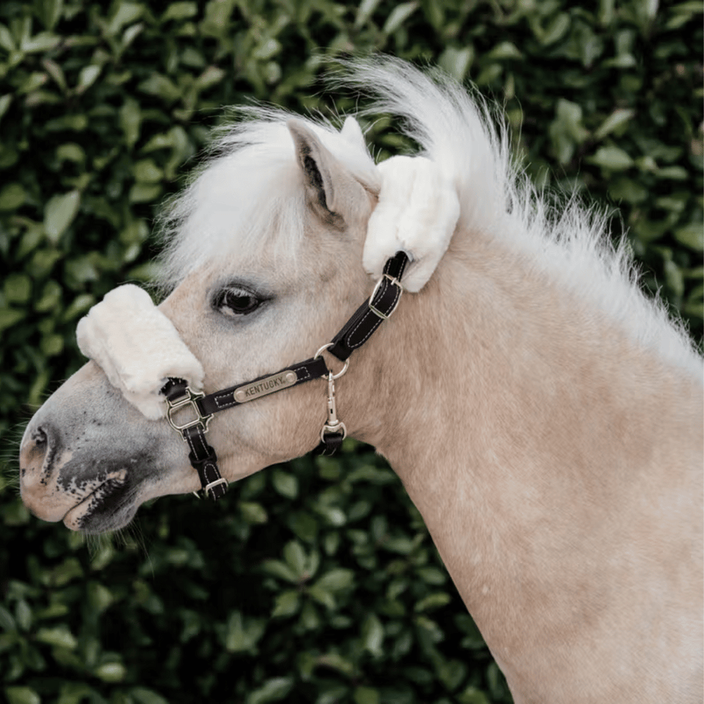 Kentucky Horsewear Leather Halter with Sheepskin