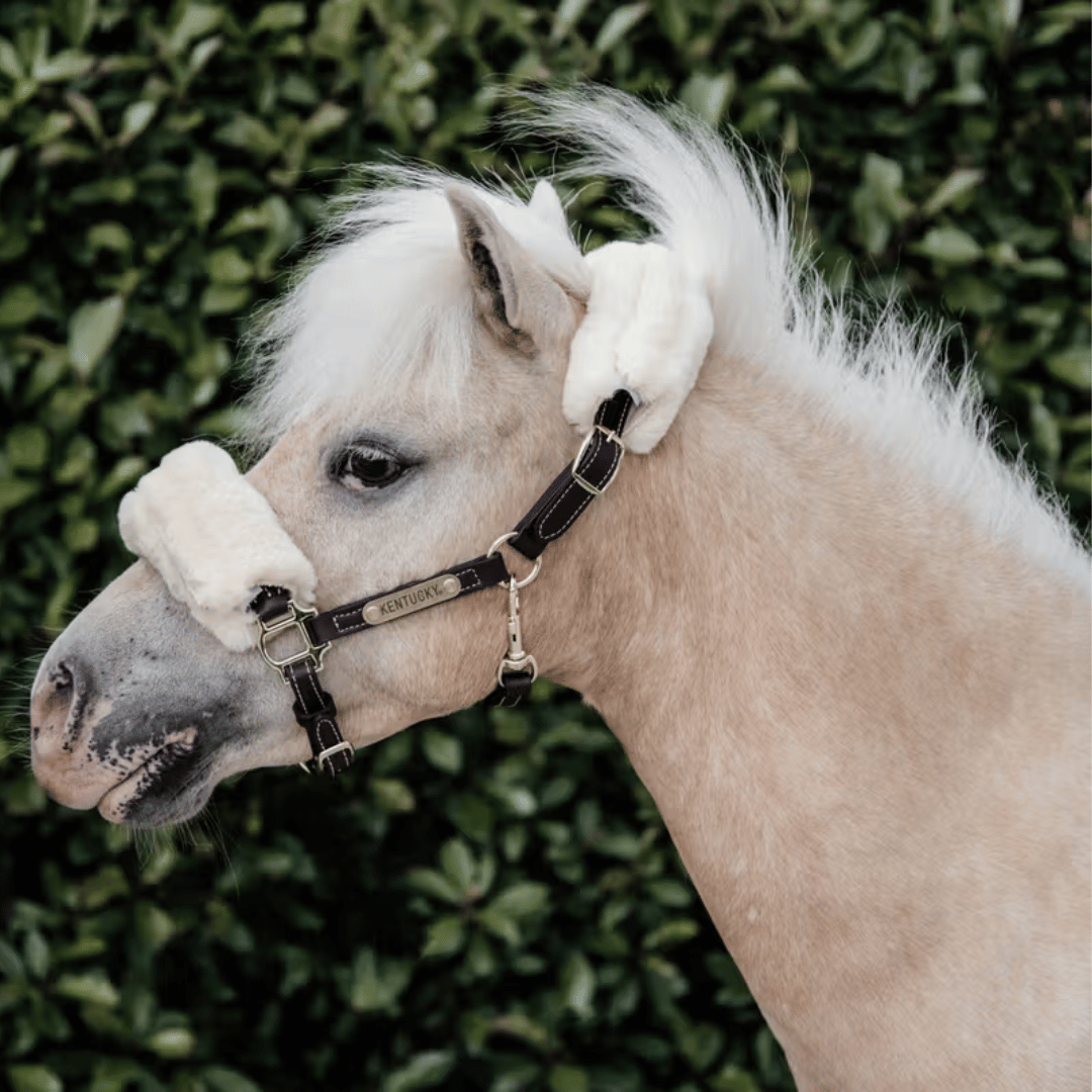 Kentucky Horsewear Leather Halter with Sheepskin