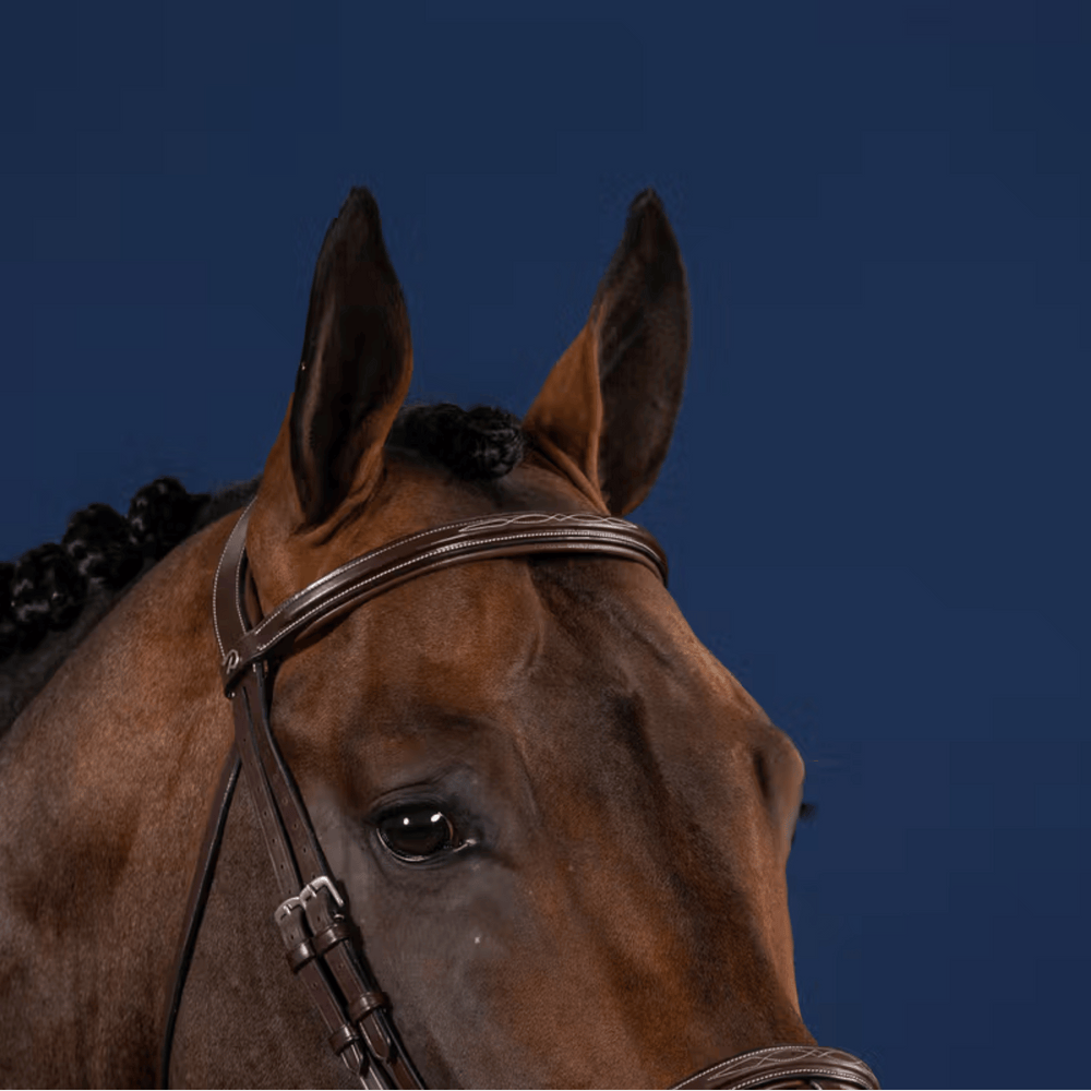 Dy'on Straight Browband US Collection