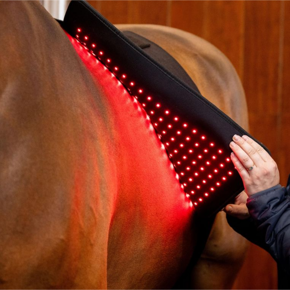 Horseware Ireland Red Light Back Pad