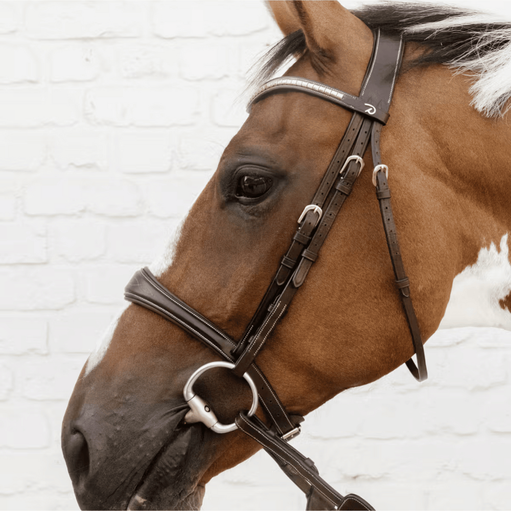 Dy'on Anatomic Noseband without Flash D Collection