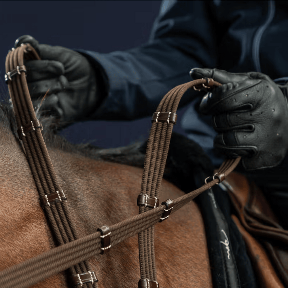 Dy'on 5/8 Web Reins With 9 Leather Loops US Collection
