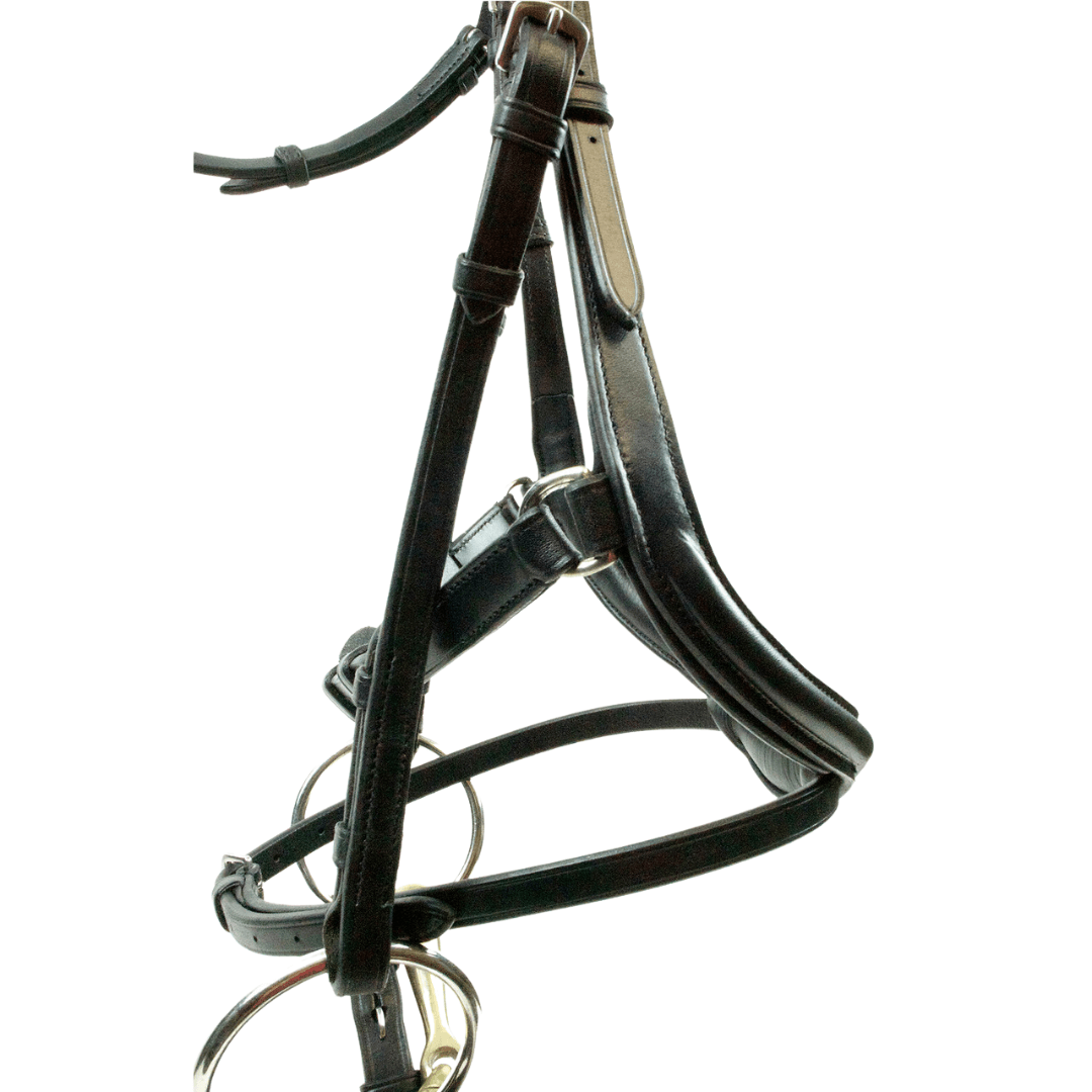 Nunn Finer Aformadi Bridle