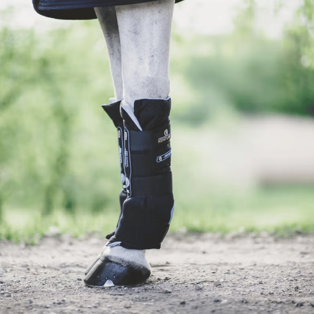Kentucky Horsewear Recuptex Magnetic Stable Boots