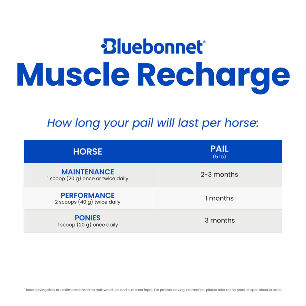 Bluebonnet Muscle Recharge