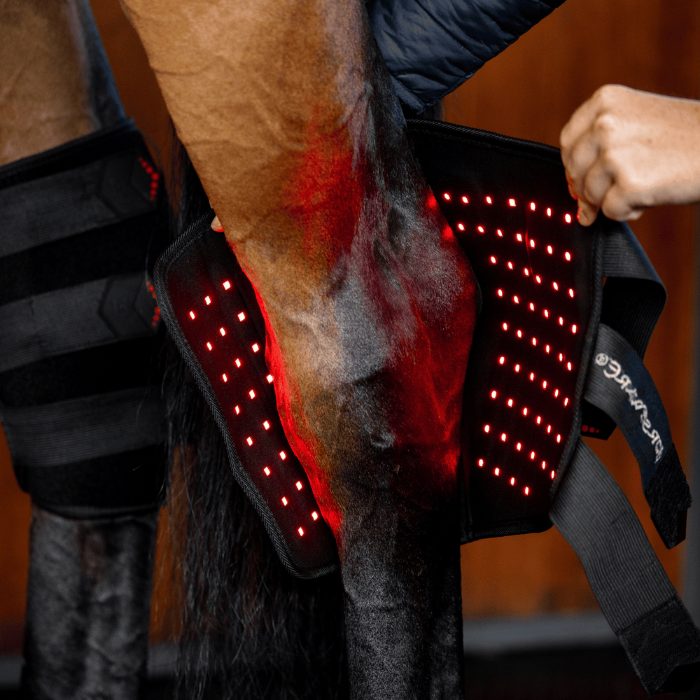 Horseware Ireland LED Red Light Hock Boot