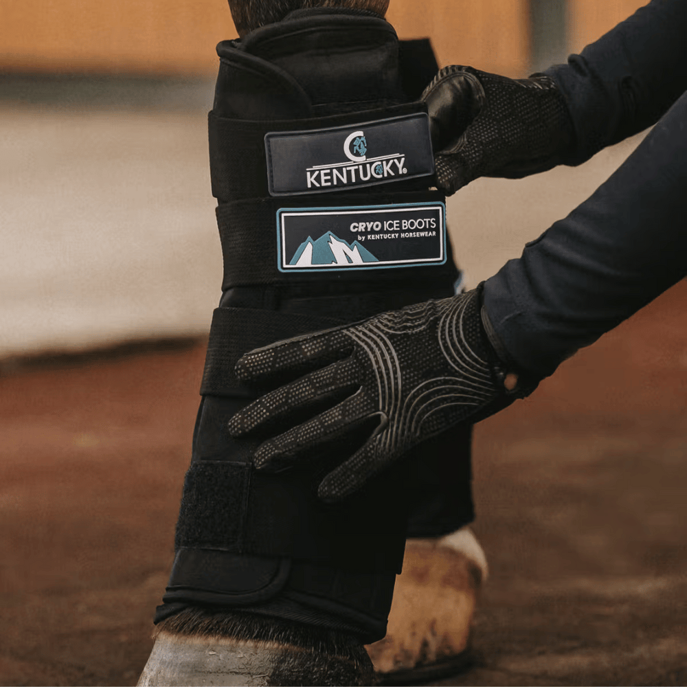 Kentucky Horsewear Cryo Ice Boots with Ice Packs