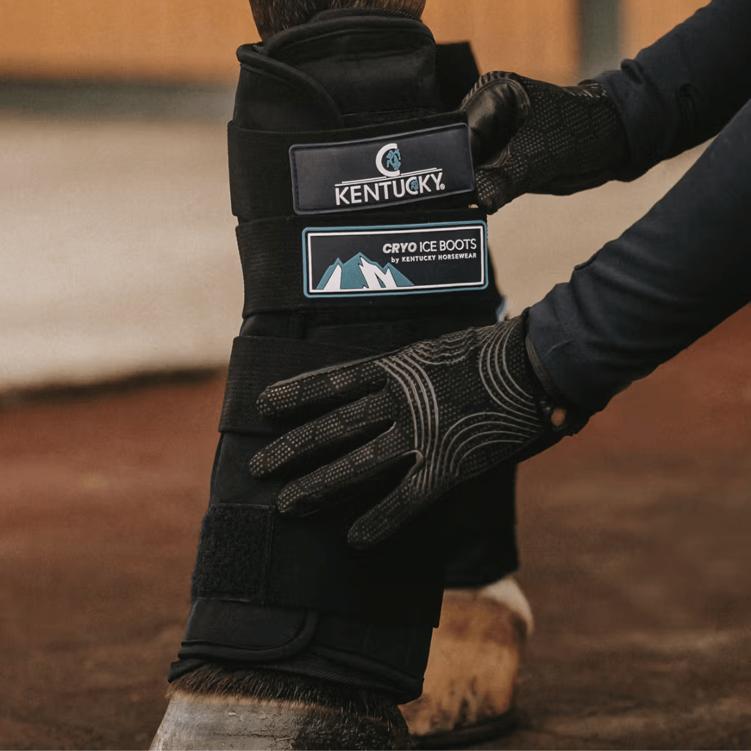 Kentucky Horsewear Cryo Ice Boots with Ice Packs