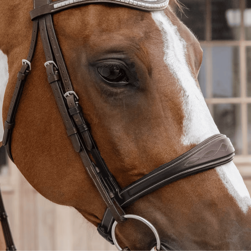 Dy'on Anatomic noseband without flash US Collection
