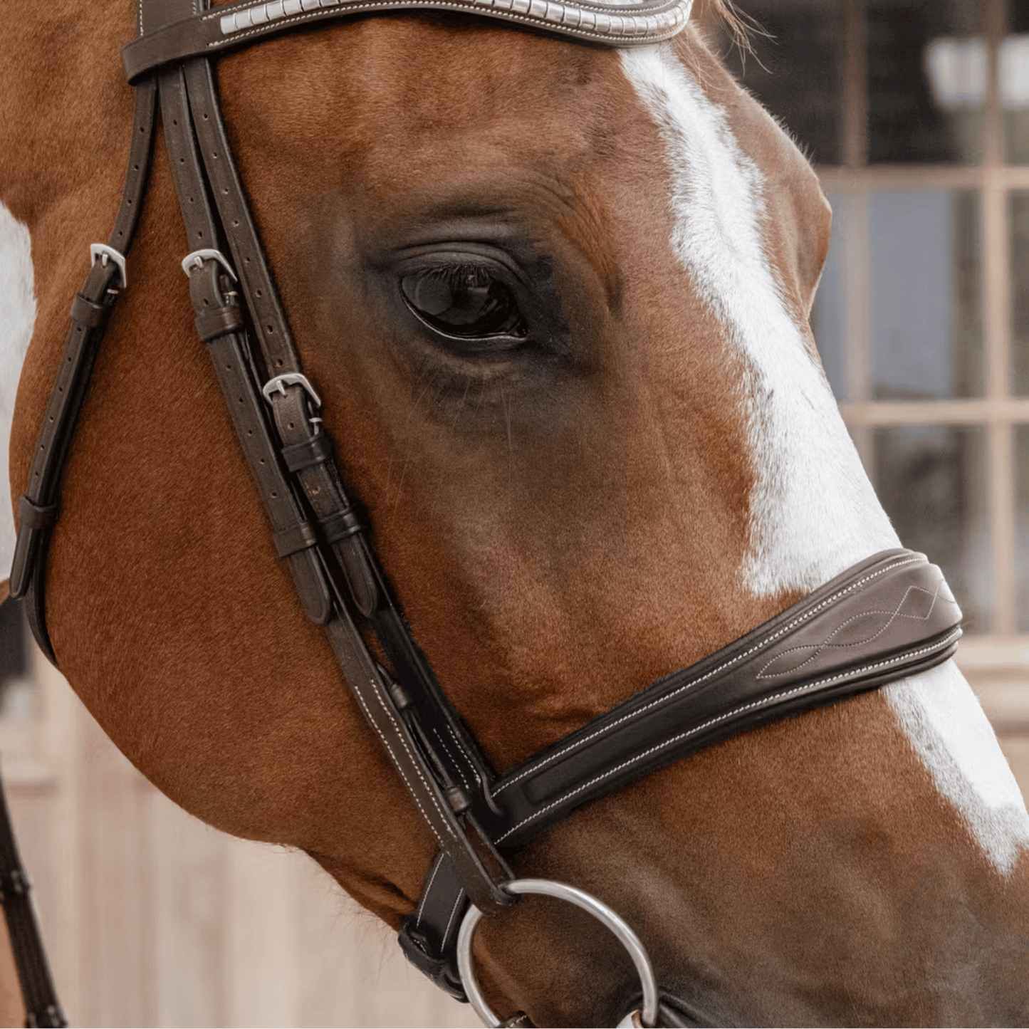 Dy'on Anatomic noseband without flash US Collection