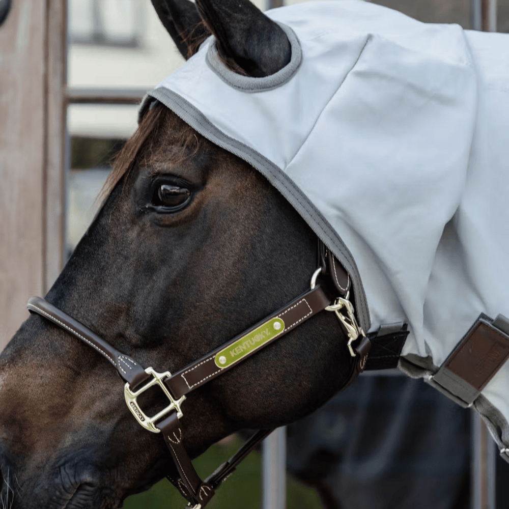 Kentucky Horsewear Eczema Rug with Hood