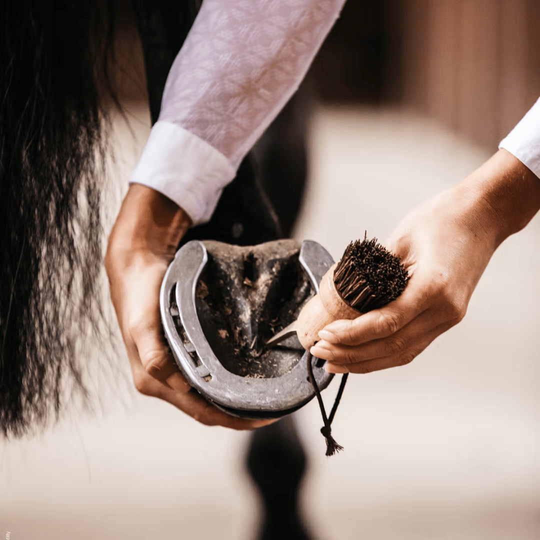 Grooming Deluxe Small Hoof Pick