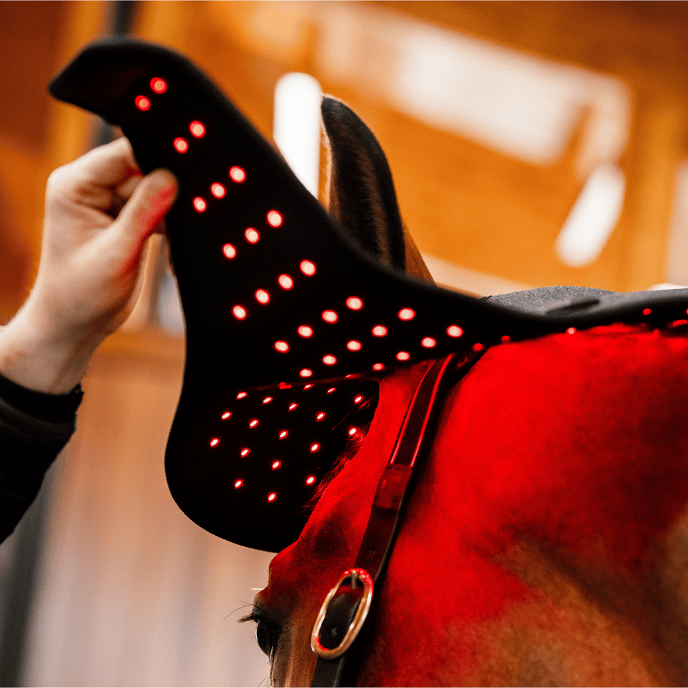 Horseware Ireland LED Red Light Poll Cap