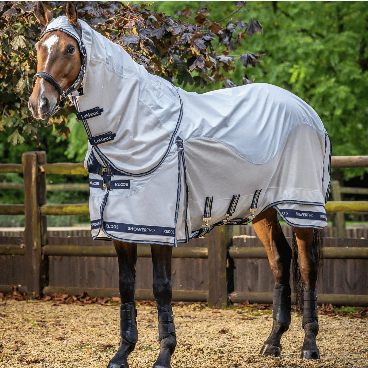 LeMieux Kudos Shower Pro Waterproof Fly Rug