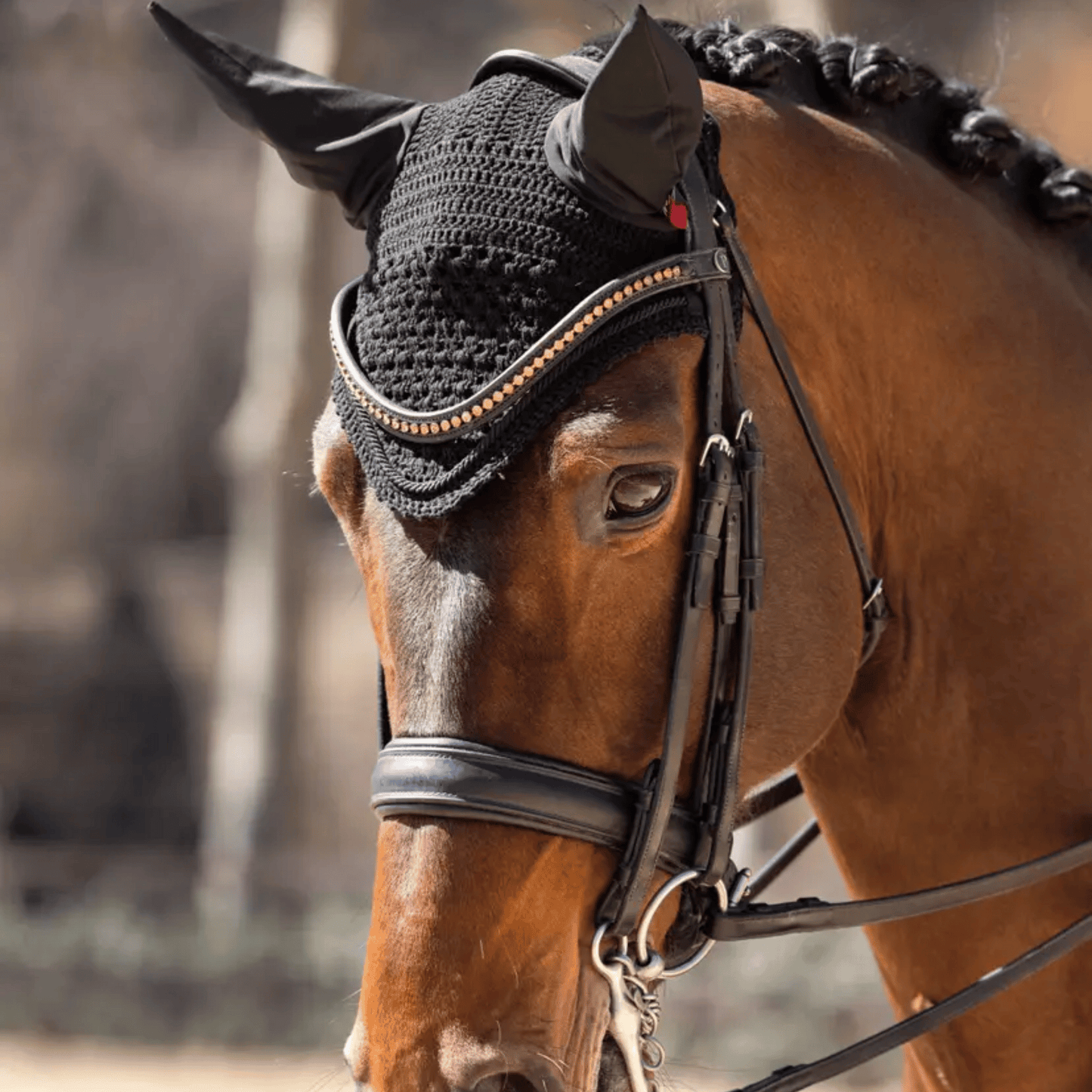 LeMieux Vogue Ear Bonnet