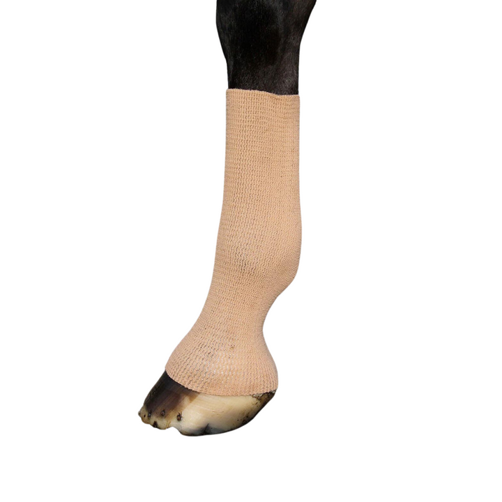 EquiFit GelSox