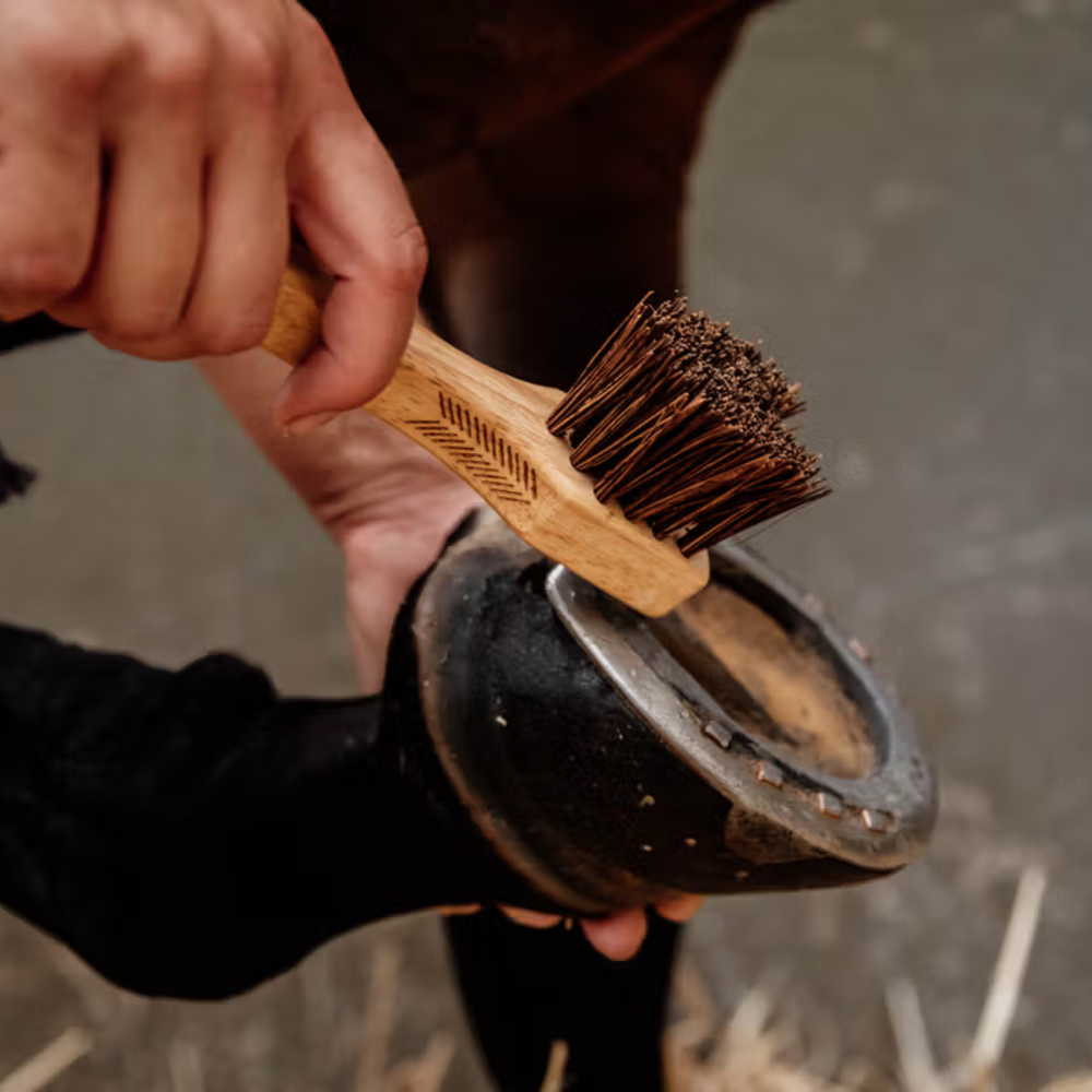 Grooming Deluxe Hoof Pick