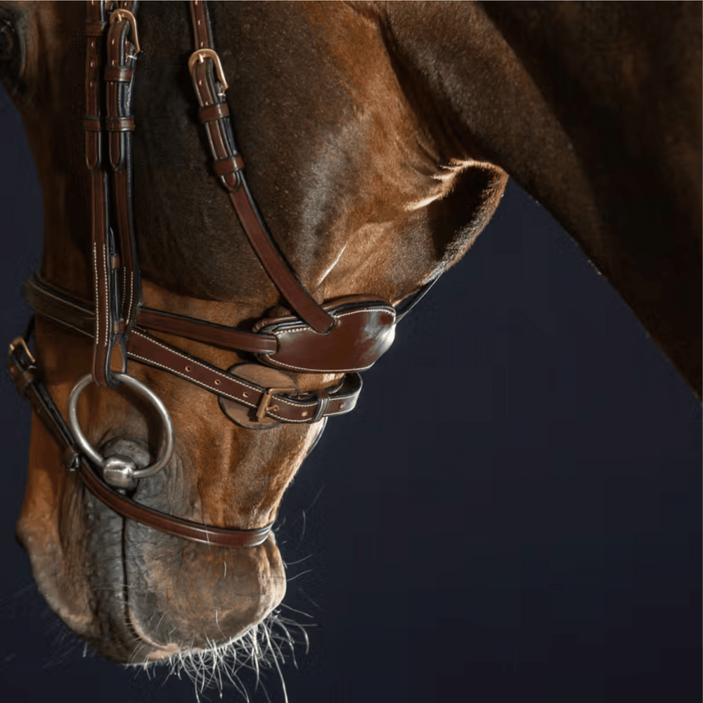 Dy'on "Difference" Bridle D Collection