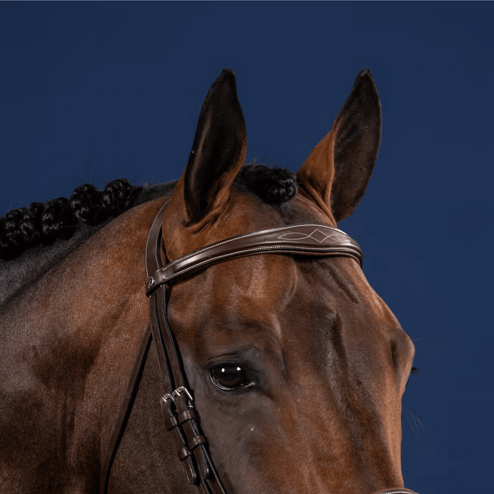 Dy'on Anatomic Browband US Collection