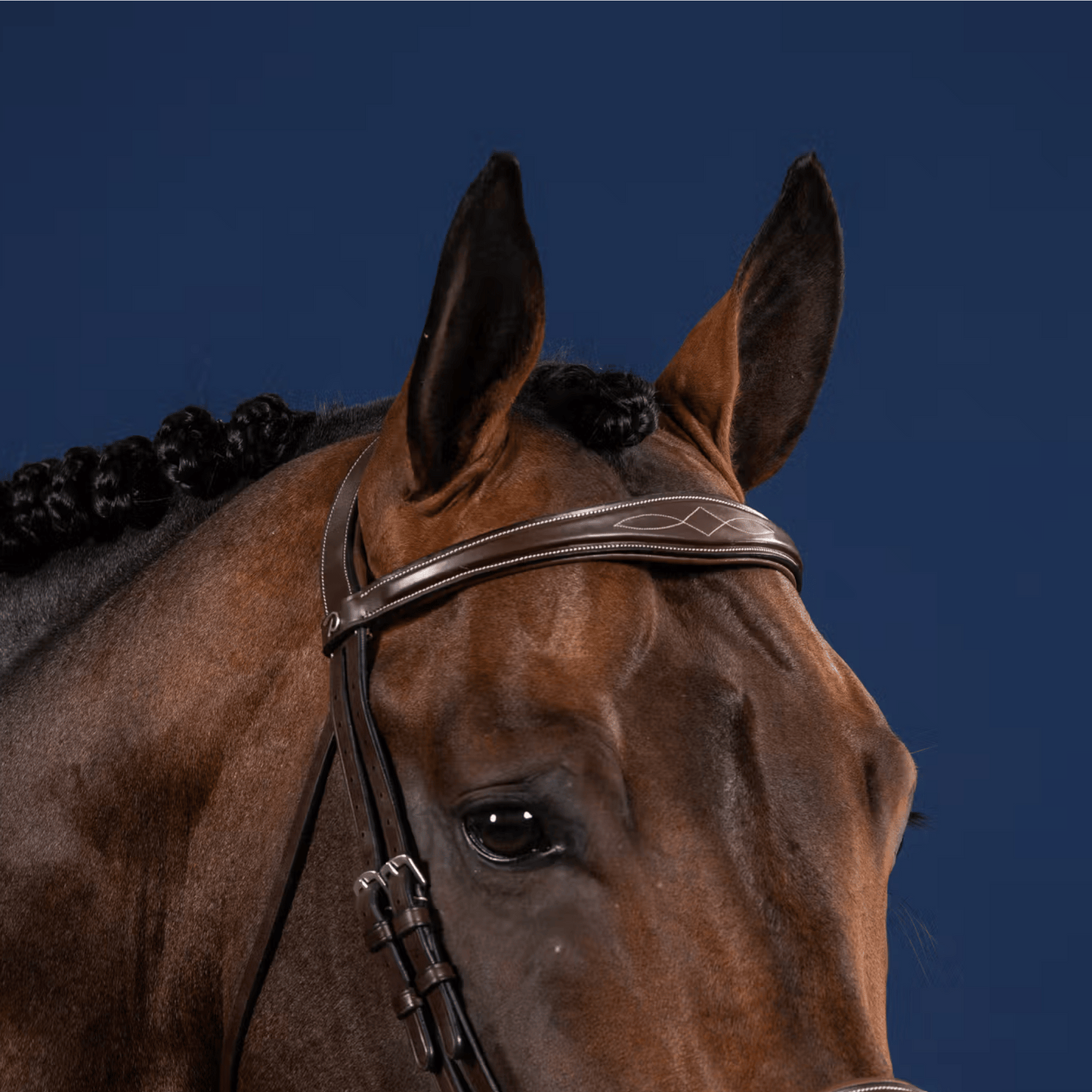 Dy'on Anatomic Browband US Collection