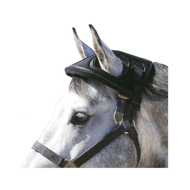 Cashel Horse Helmet