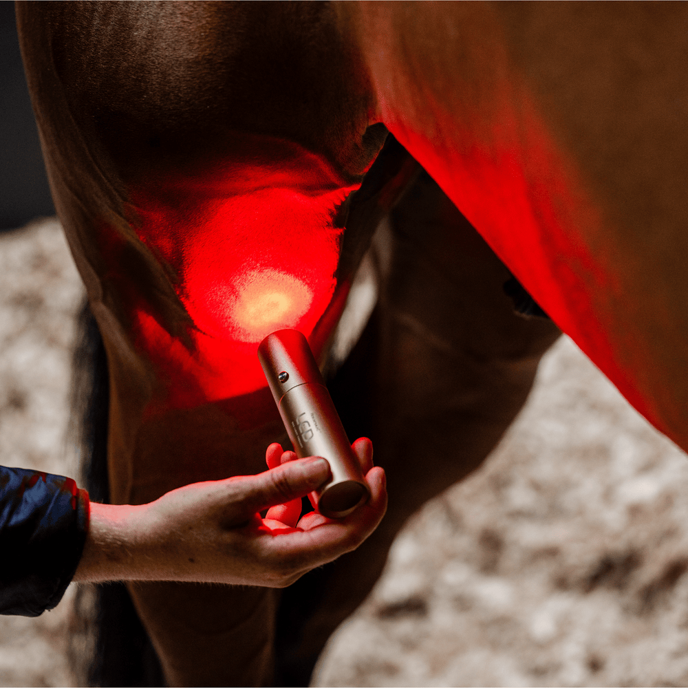 Horseware Ireland LED Red Light Therapy Wand