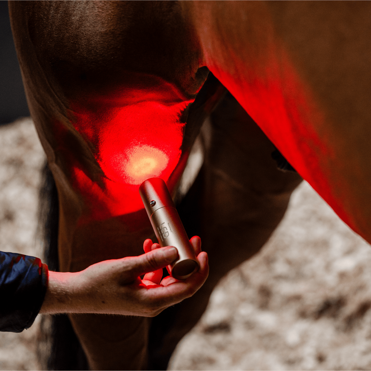 Horseware Ireland LED Red Light Therapy Wand