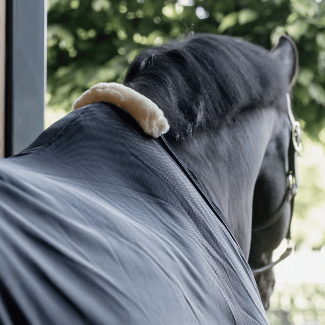 Kentucky Horsewear Mesh Fly Sheet