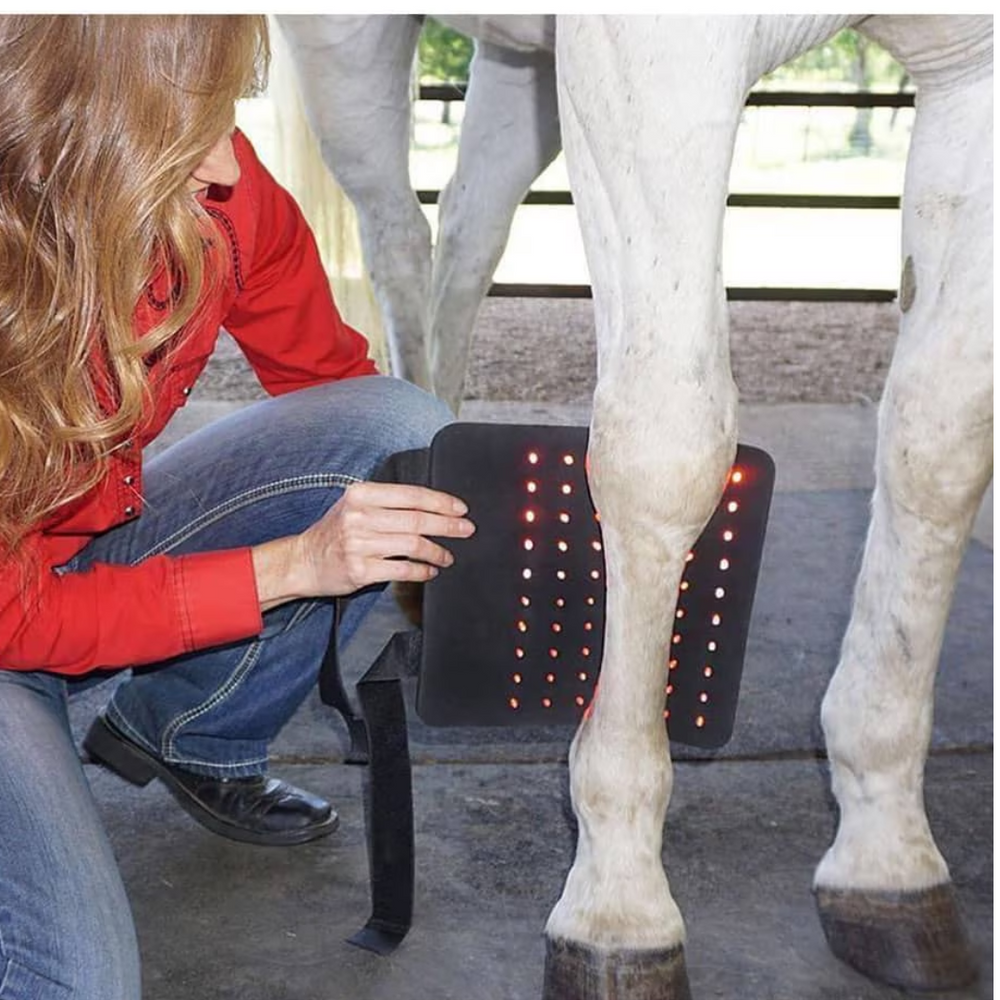 RevitaVet Tendon Saver