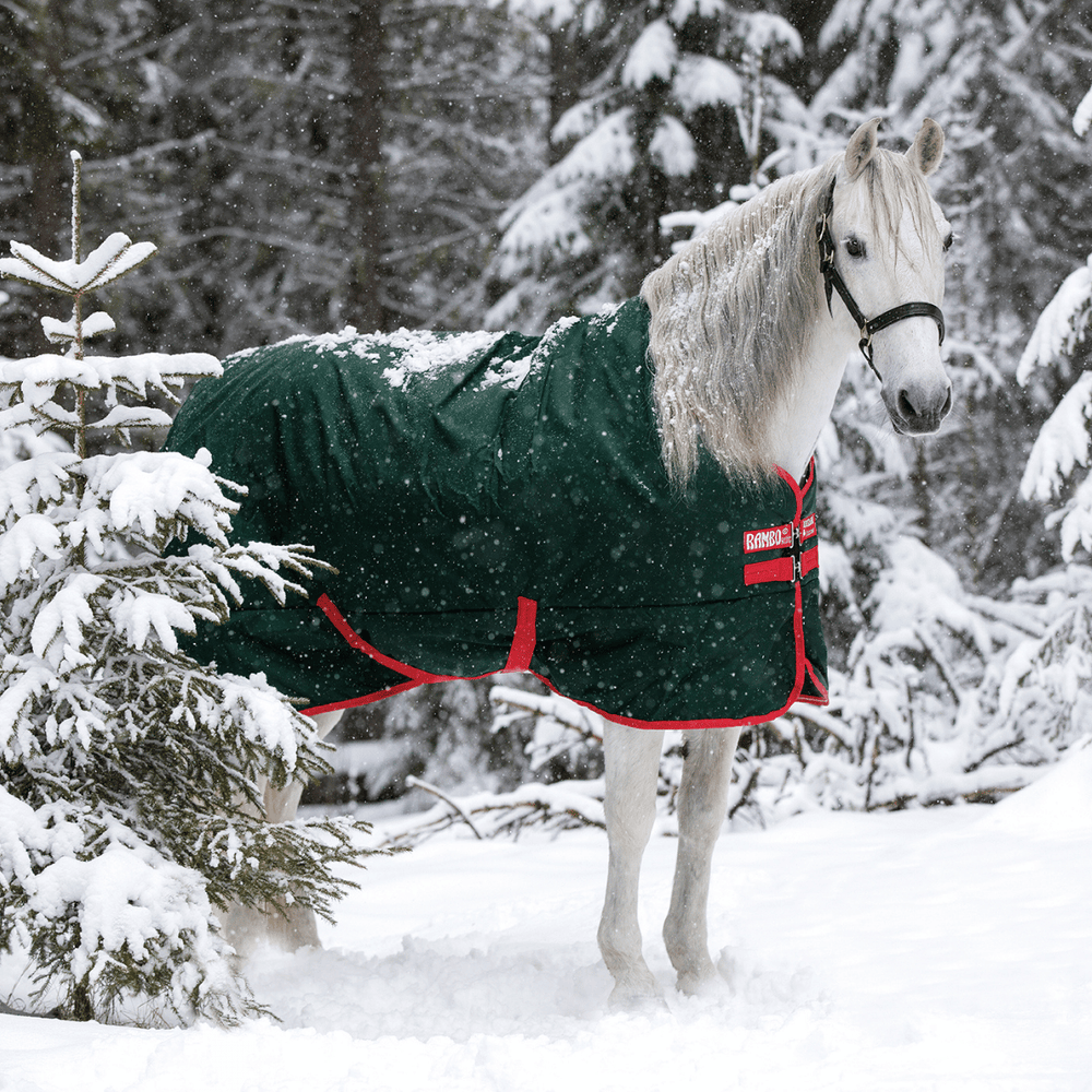 Rambo Original Turnout Blanket  (Heavy 400g)