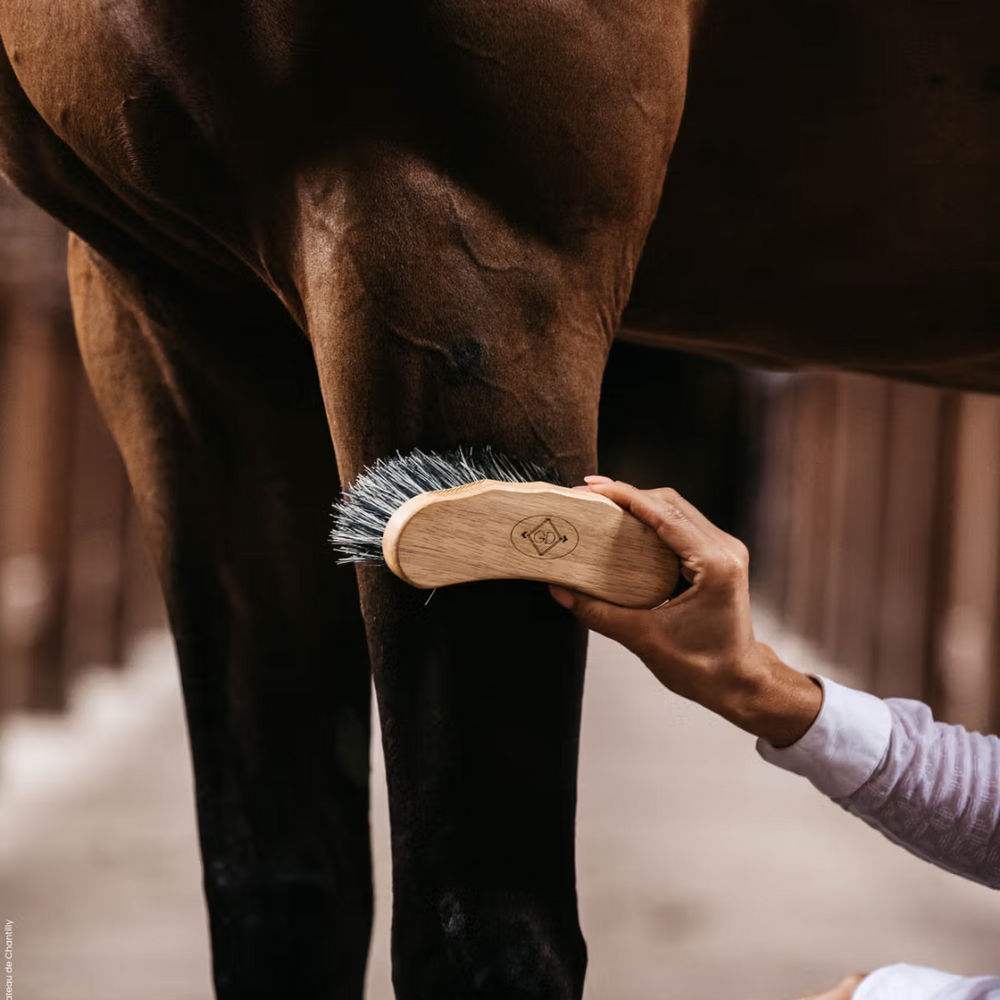 Grooming Deluxe Middle Hard Brush