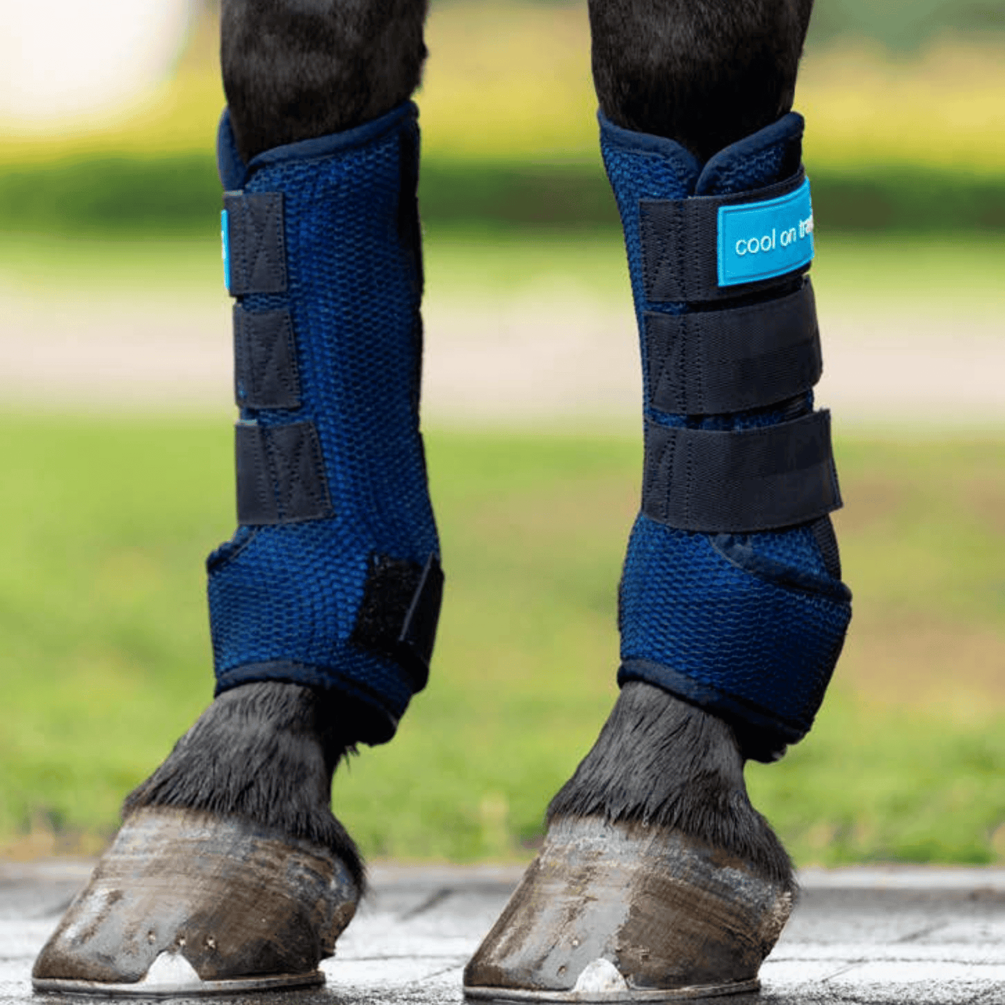 Cool on Track Quick Wraps