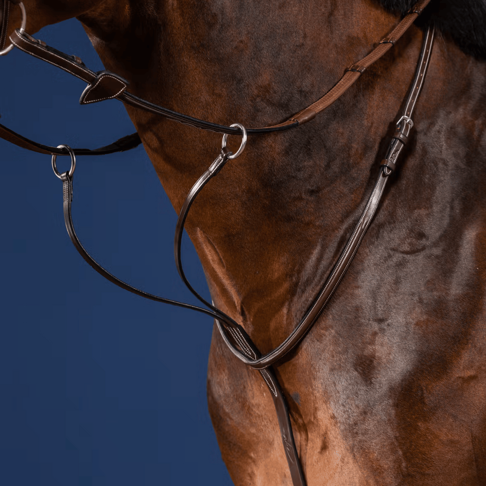 Dy'on Running Martingale US Collection