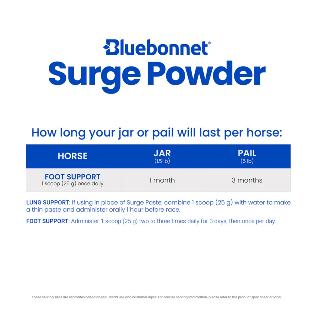 Bluebonnet Surge
