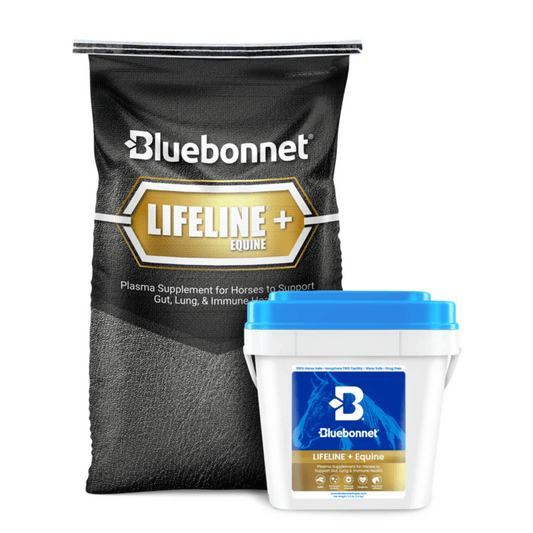 Bluebonnet Lifeline+ Equine