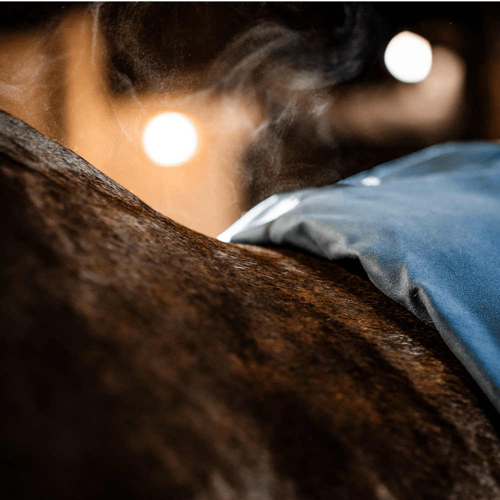 Rambo Dry Rug Supreme (No Fill)