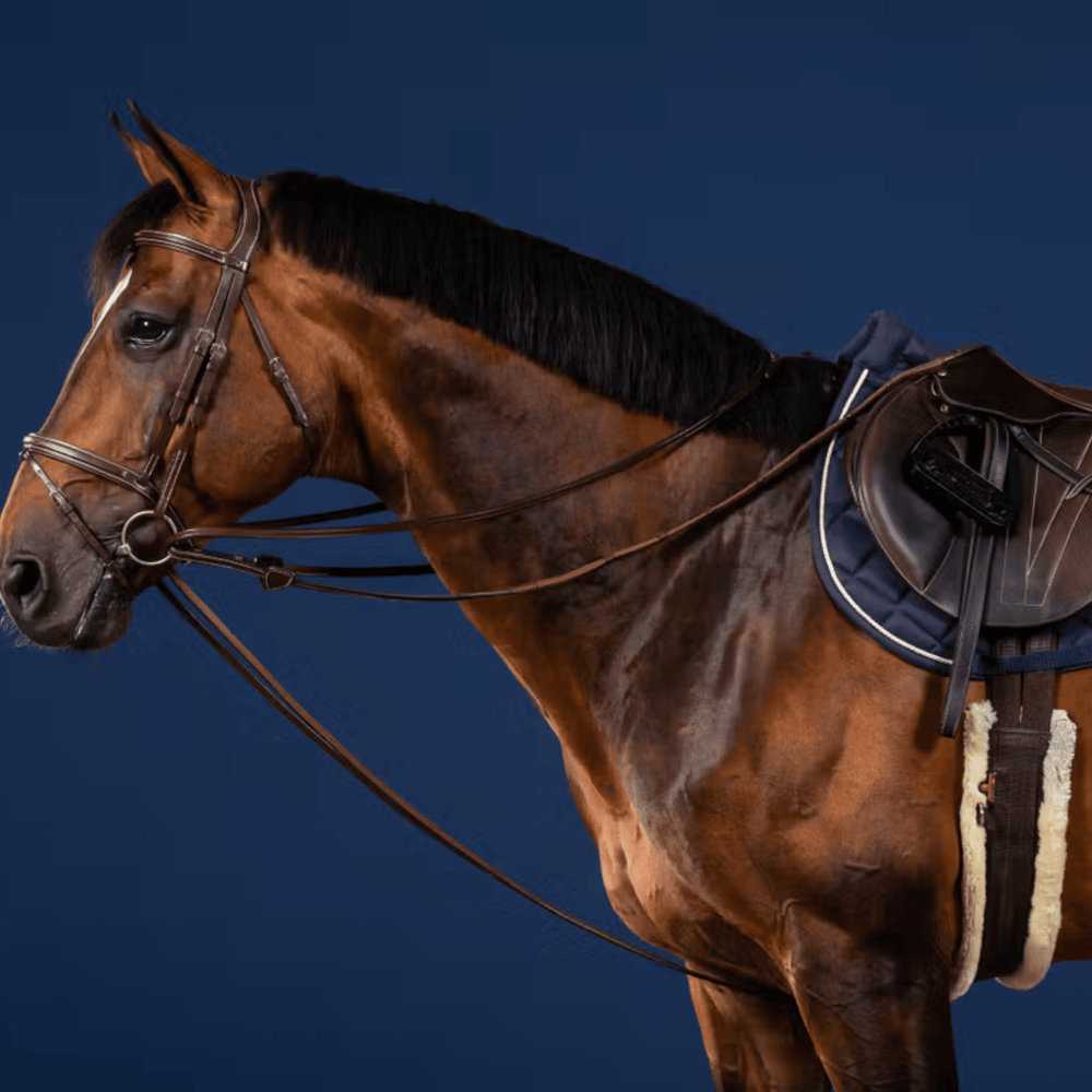 Dy'on Full Leather Draw Reins 1/2'' US Collection