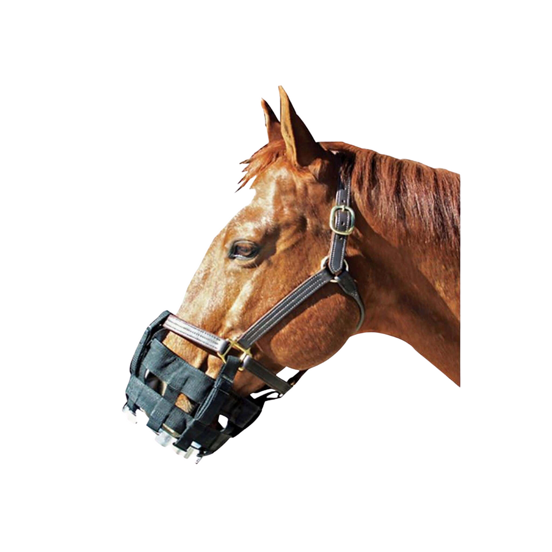 Best Friend Free-to-eat Cribbing Muzzle, Oversize