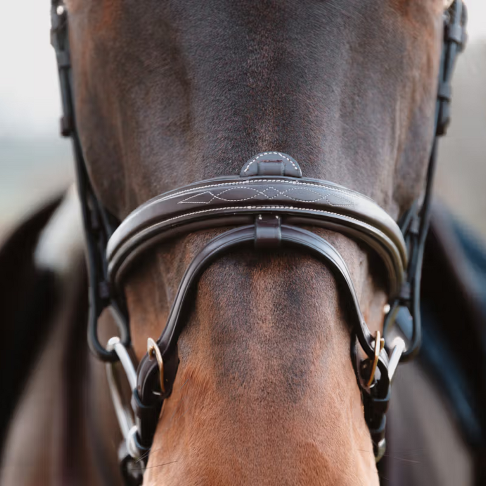 Dy'on Flash Noseband with Chain