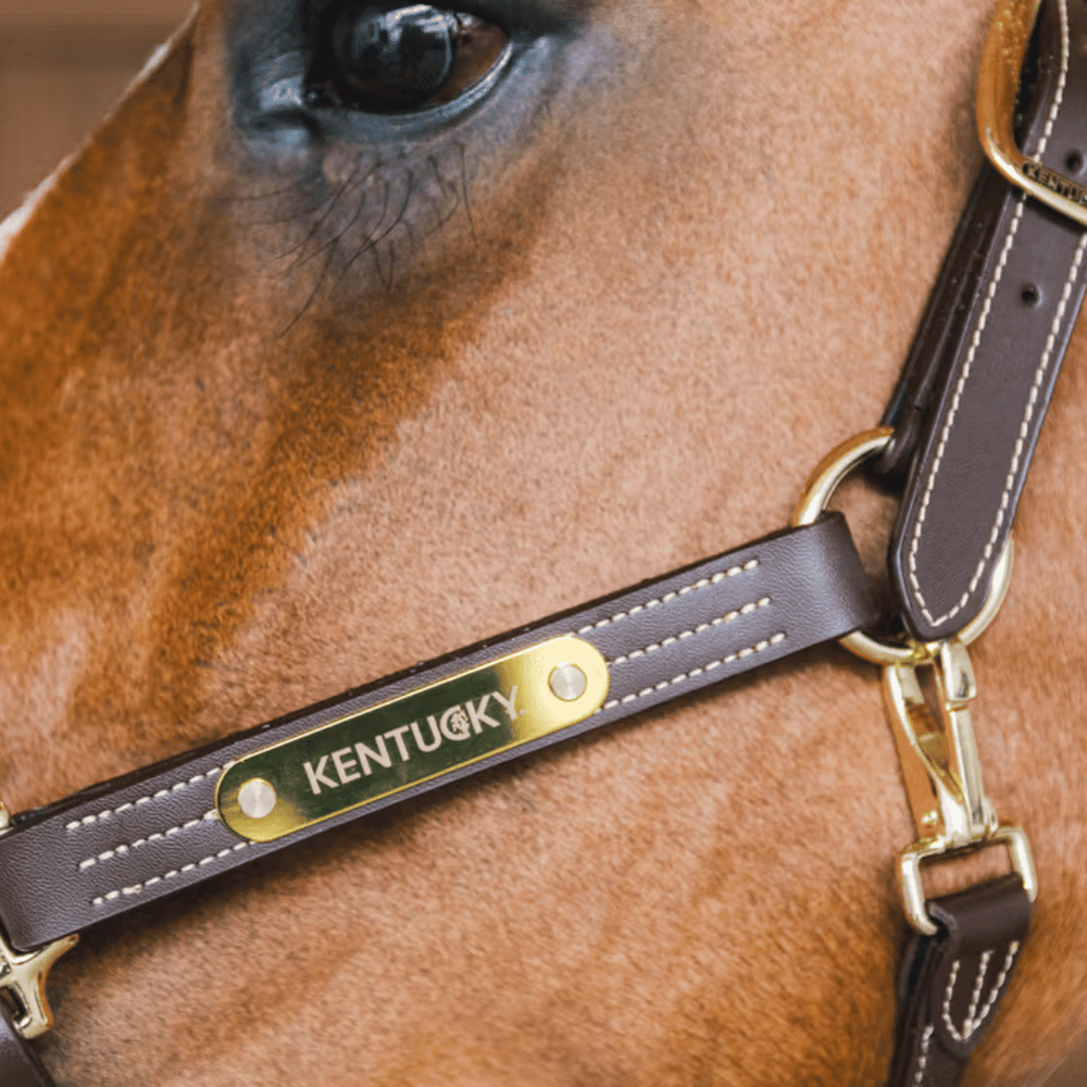 Kentucky Horsewear Wellington Leather Halter