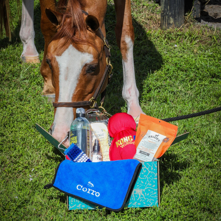 The Happy Horse Holiday Gift Set