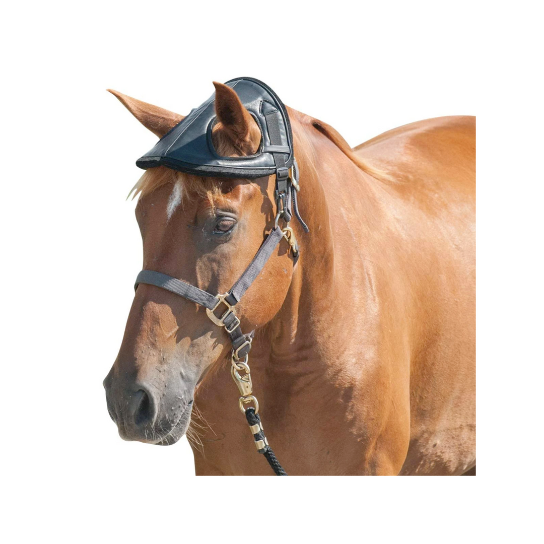 Cashel Horse Helmet