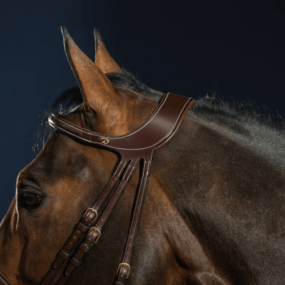 Dy'on "Difference" Bridle D Collection