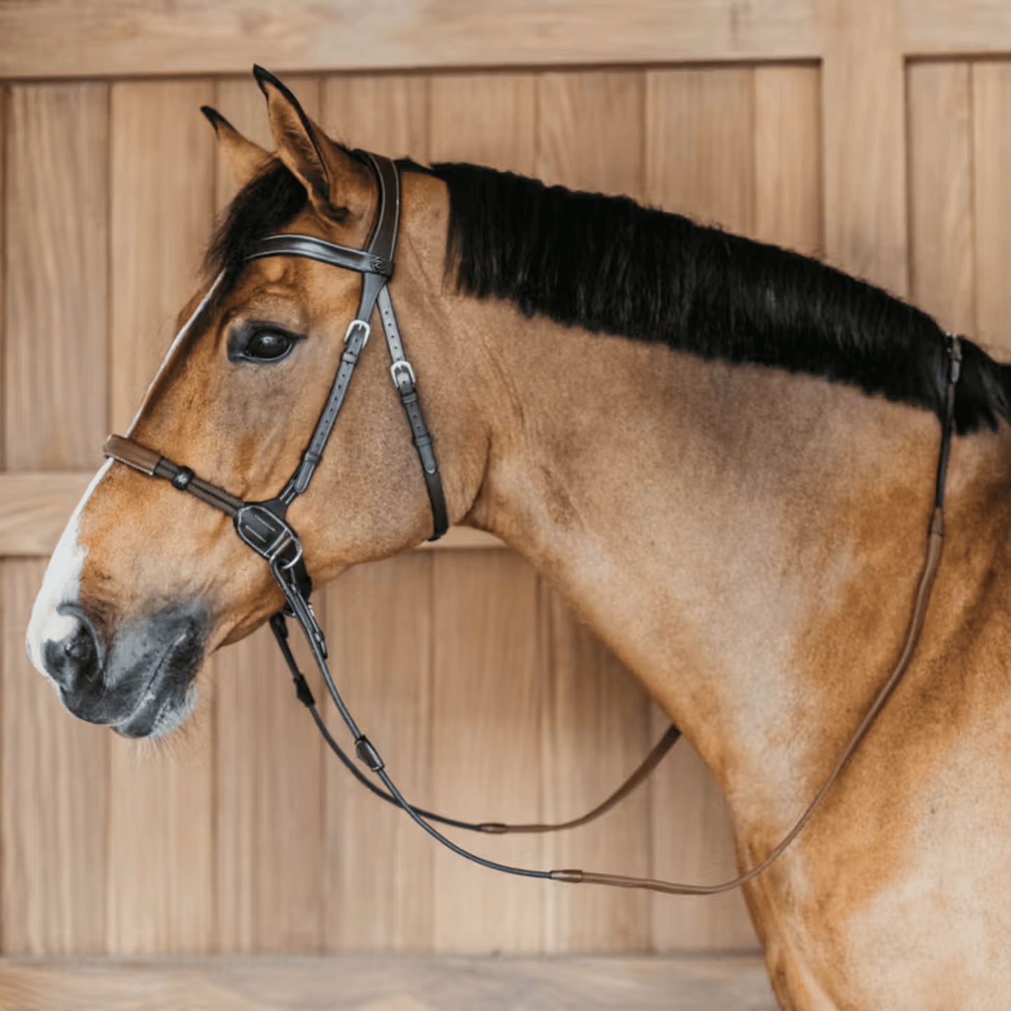 Dy'on Bitless Bridle