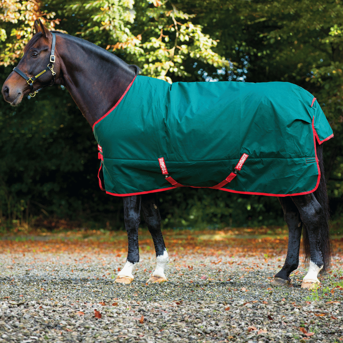 Rambo Original Turnout Sheet (0g Lite) | Corro