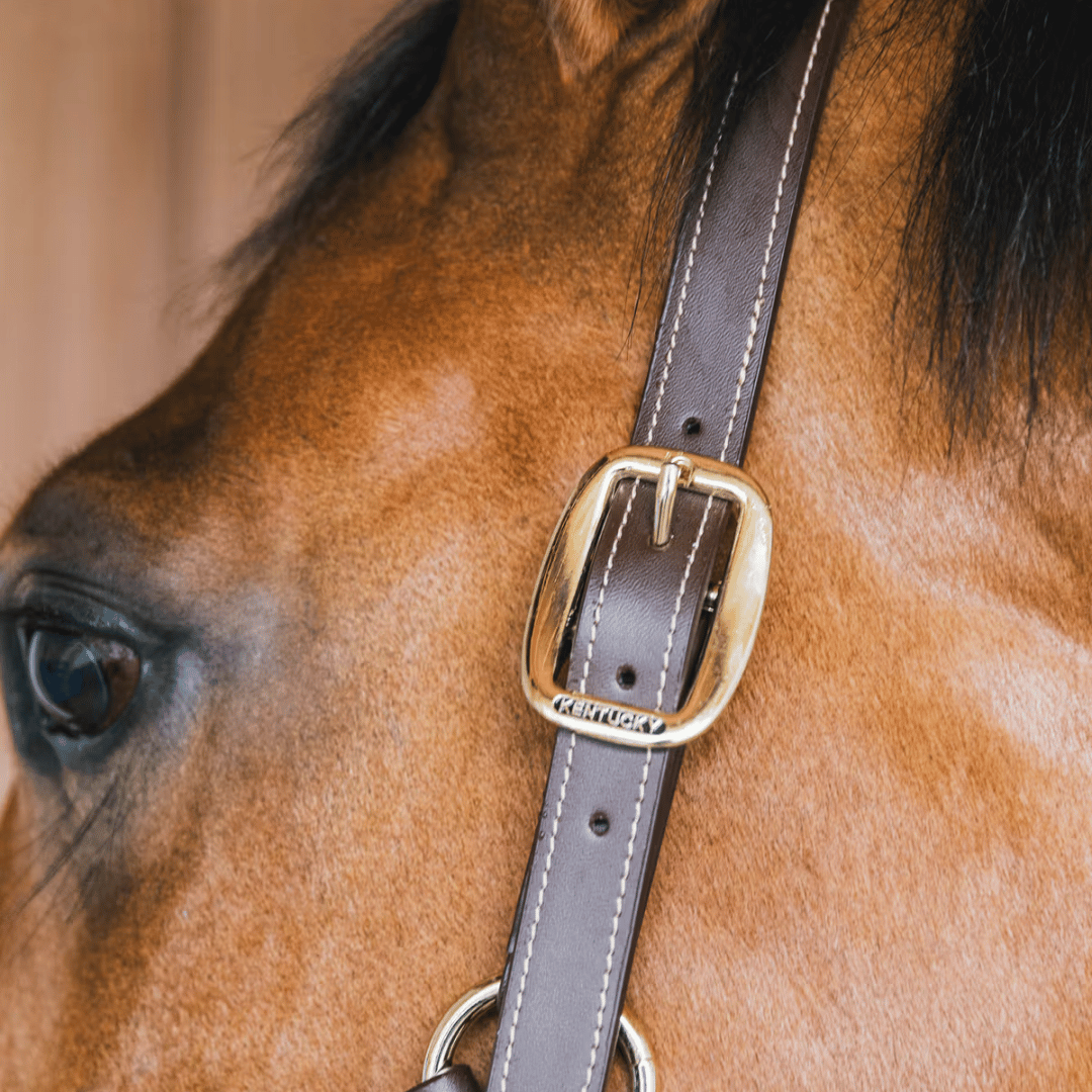 Kentucky Horsewear Wellington Leather Halter