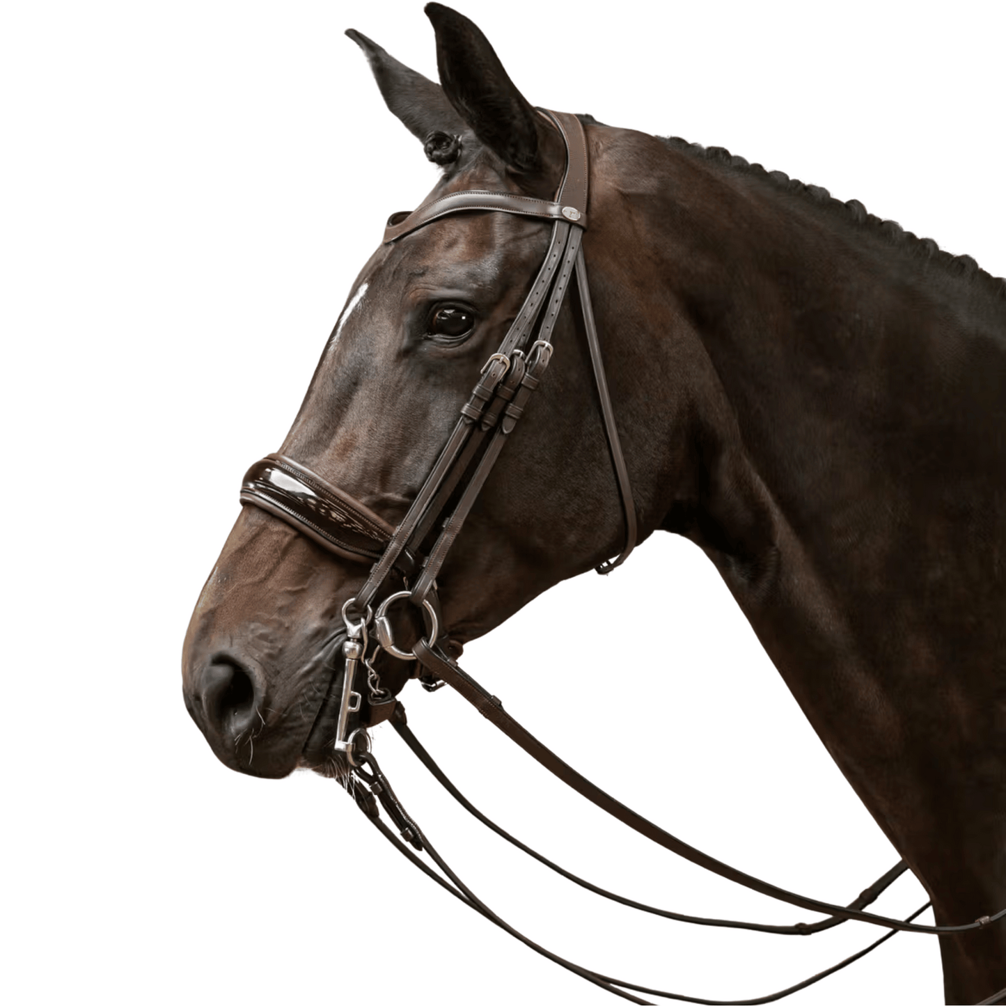 Dy'on Patent Large Crank Noseband Double Bridle