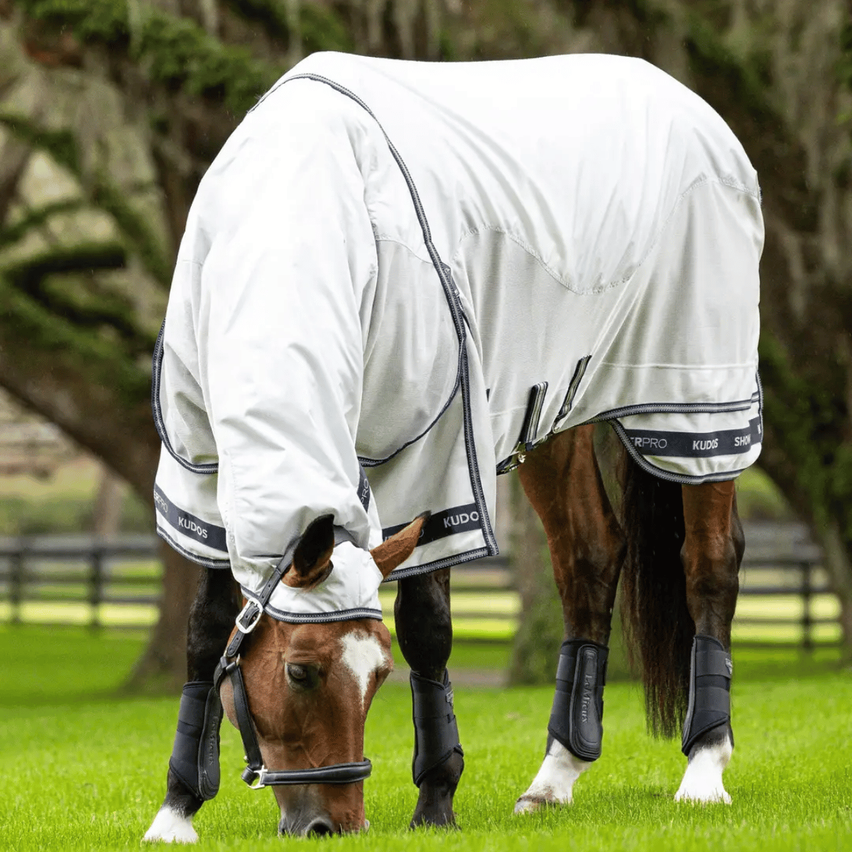 LeMieux Kudos Shower Pro Waterproof Fly Rug